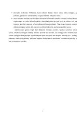 Energetinių išteklių kainos pokyčių įtaka Baltijos šalių ekonominiams rodikliams 2004-2009 metais 7 puslapis