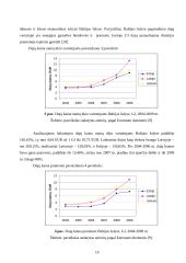 Energetinių išteklių kainos pokyčių įtaka Baltijos šalių ekonominiams rodikliams 2004-2009 metais 10 puslapis