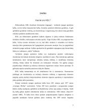 Verilog HDL 3 puslapis