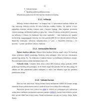 Europos centrinis bankas (ECB) ir Lietuva 13 puslapis
