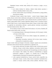 Europos centrinis bankas (ECB) ir Lietuva 7 puslapis