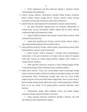 Europos centrinis bankas (ECB) ir Lietuva 9 puslapis