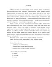 Versalio sistema 2 puslapis