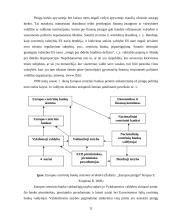 Europos centrinio banko veikla ir Lietuva 11 puslapis