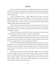 Europos centrinio banko veikla ir Lietuva 20 puslapis