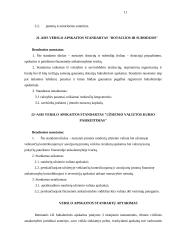Verslo apskaitos standartai 11 puslapis