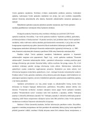Verslo apskaitos standartai 12 puslapis
