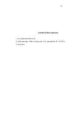 Verslo apskaitos standartai 16 puslapis