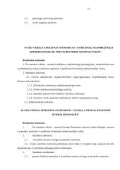 Verslo apskaitos standartai 10 puslapis