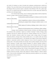 Europos Centrinis Bankas (ECB): pinigų politika unifikuojant nacionalines valiutas 17 puslapis