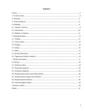 Verslo planas: proginių drabužių salonas IĮ "Orchidėja" 2 puslapis