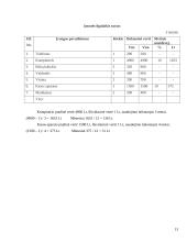 Verslo planas: proginių drabužių salonas IĮ "Orchidėja" 12 puslapis