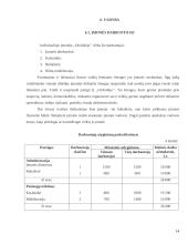 Verslo planas: proginių drabužių salonas IĮ "Orchidėja" 13 puslapis