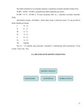 Verslo planas: proginių drabužių salonas IĮ "Orchidėja" 14 puslapis