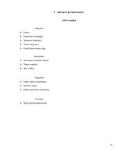 Verslo planas: proginių drabužių salonas IĮ "Orchidėja" 15 puslapis