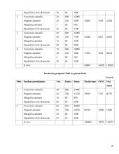 Verslo planas: proginių drabužių salonas IĮ "Orchidėja" 19 puslapis