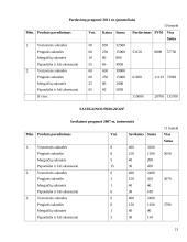 Verslo planas: proginių drabužių salonas IĮ "Orchidėja" 20 puslapis