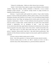 Verslo planas: proginių drabužių salonas IĮ "Orchidėja" 6 puslapis