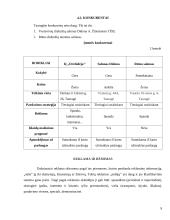 Verslo planas: proginių drabužių salonas IĮ "Orchidėja" 8 puslapis