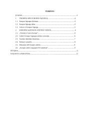 Europos Sąjungos (ES) ateities vizijos