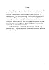 Europos Sąjungos (ES) ateities vizijos 2 puslapis