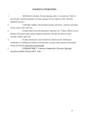 Europos Sąjungos (ES) ateities vizijos 11 puslapis