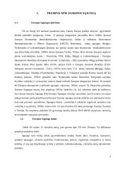 Europos Sąjungos (ES) ateities vizijos 3 puslapis