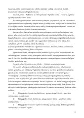 Verslo rodiklių planavimas 13 puslapis
