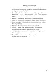 Verslo rodiklių planavimas 20 puslapis