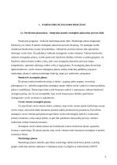 Verslo rodiklių planavimas 4 puslapis