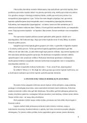 Verslo rodiklių planavimas 8 puslapis