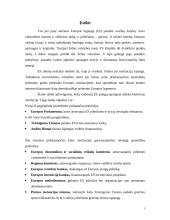 ES institucijų veikla 2 puslapis