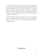 ES institucijų veikla 12 puslapis