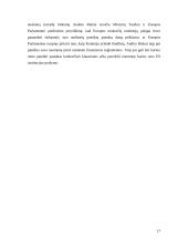 ES institucijų veikla 18 puslapis