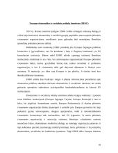 ES institucijų veikla 19 puslapis