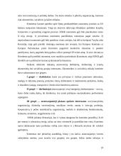 ES institucijų veikla 20 puslapis