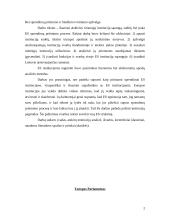 ES institucijų veikla 3 puslapis