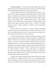 ES institucijų veikla 4 puslapis