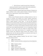 ES institucijų veikla 7 puslapis