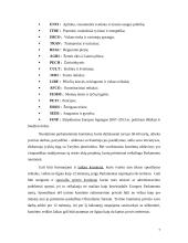 ES institucijų veikla 8 puslapis