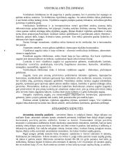 Vertikalusis želdinimas 4 puslapis