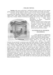 Vertikalusis želdinimas 7 puslapis