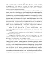 Vestuvių pobūvio organizavimas 11 puslapis