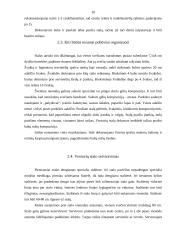 Vestuvių pobūvio organizavimas 10 puslapis