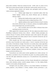 Europos Sąjungos (ES) valiutos vienetas euras: perspektyvos ir pavojai Lietuvos ekonomikai 11 puslapis