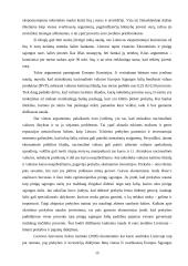 Europos Sąjungos (ES) valiutos vienetas euras: perspektyvos ir pavojai Lietuvos ekonomikai 15 puslapis