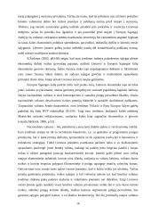 Europos Sąjungos (ES) valiutos vienetas euras: perspektyvos ir pavojai Lietuvos ekonomikai 16 puslapis