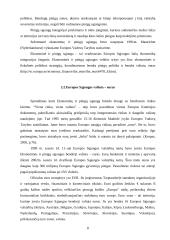 Europos Sąjungos (ES) valiutos vienetas euras: perspektyvos ir pavojai Lietuvos ekonomikai 8 puslapis