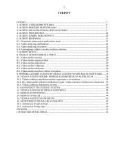 Vidaus audito vykdymas 2 puslapis