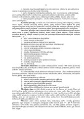 Vidaus audito vykdymas 11 puslapis